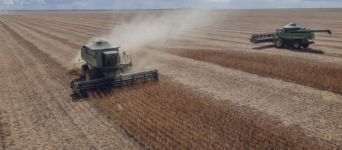 harvest-9554526_1280