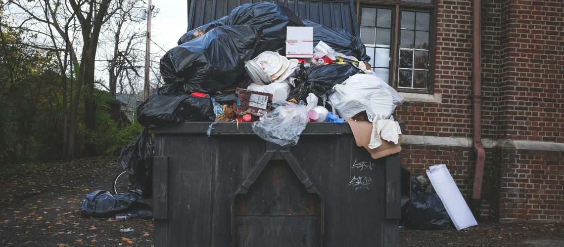 kenny-eliason-8Yk4T-tDSYY-unsplash