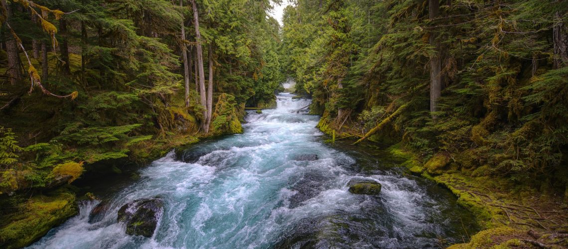 mckenzie-river-5129717_1920