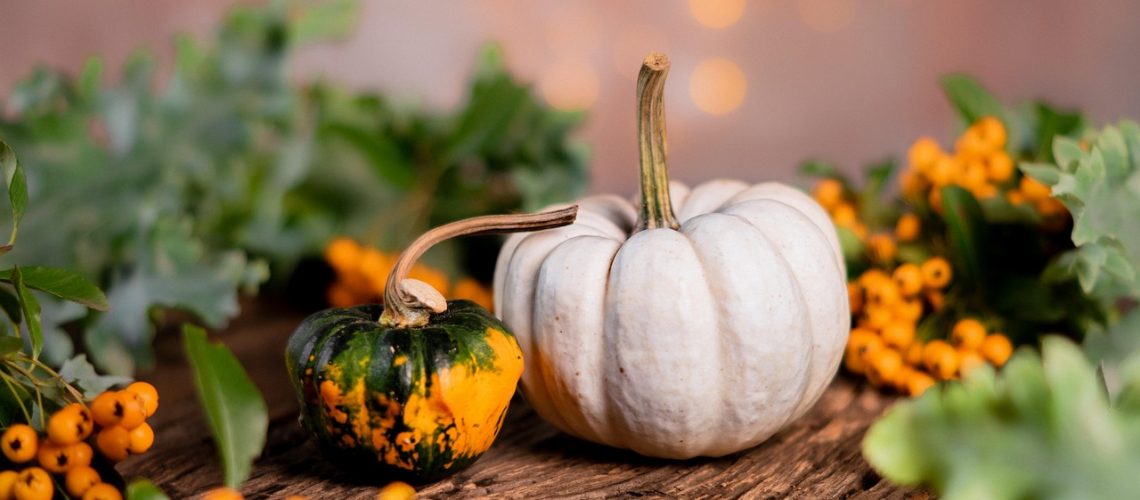 pumpkins-5641482_1280